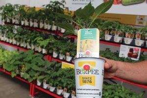 CAST 2017: Retail and Marketing Displays