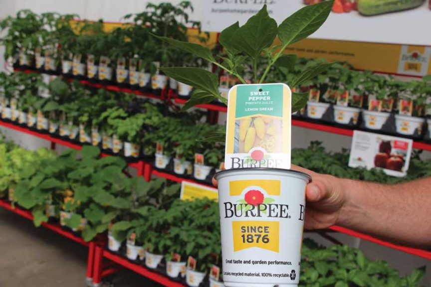 CAST 2017: Retail and Marketing Displays