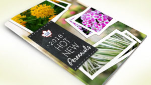 Eason Horticultural Resources Releases New Perennials Booklet