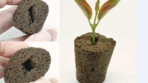 Grow-Tech Introduces New Media Plug, Joins Dümmen Orange Team