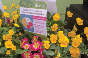 CAST 2017: Retail and Marketing Displays