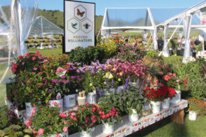 CAST 2017: Retail and Marketing Displays