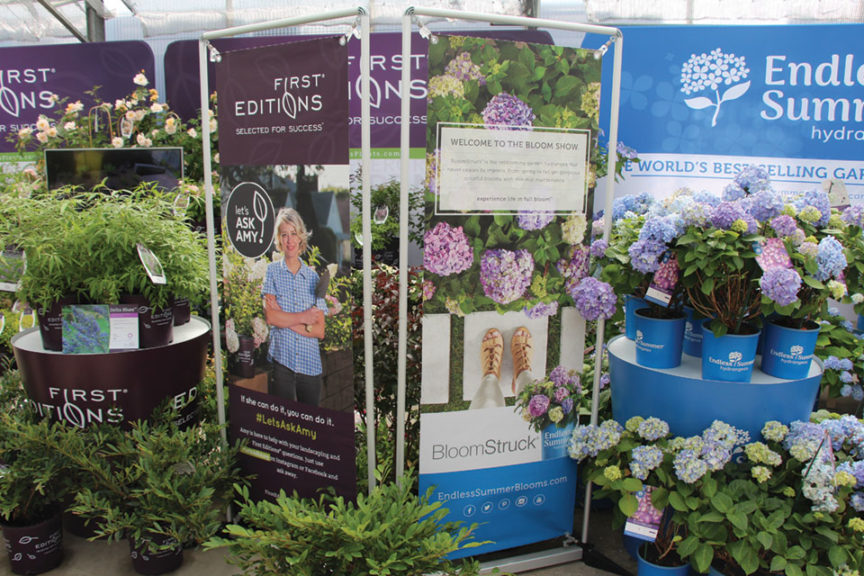 CAST 2017: Retail and Marketing Displays