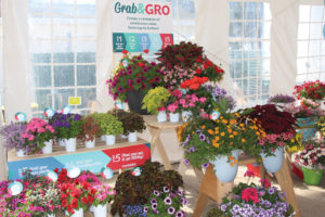 CAST 2017: Retail and Marketing Displays