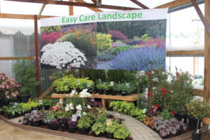 CAST 2017: Retail and Marketing Displays