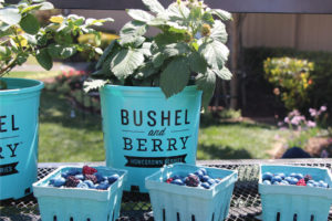 CAST 2017: Retail and Marketing Displays