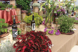 CAST 2017: Retail and Marketing Displays