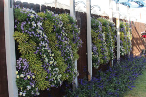 CAST 2017: Retail and Marketing Displays