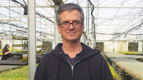 New Head Grower at Emerald Coast Growers is Excited about Future of Perennials