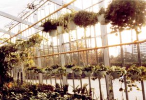 Pac-Line Enclosed Track Overhead Conveyor (Pacline)