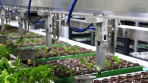 Visser, Ball Partner on New Sticking Technology for Cuttings