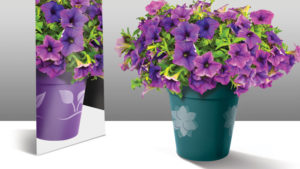 Plant Patent Law: Protecting the Variety Pipeline