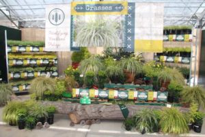 CAST 2017: Retail and Marketing Displays