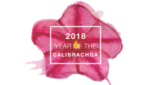 National Garden Bureau 2018 Year of the Calibrachoa