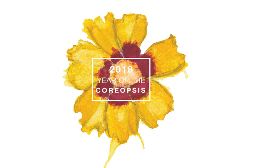 National Garden Bureau 2018 Year of the Coreopsis
