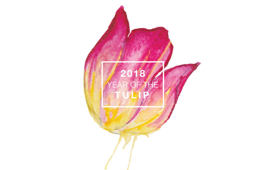 National Garden Bureau 2018 Year of the Tulip