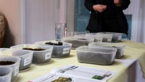 British Researchers Evaluating New Media Blends to Reduce Coir Reliance