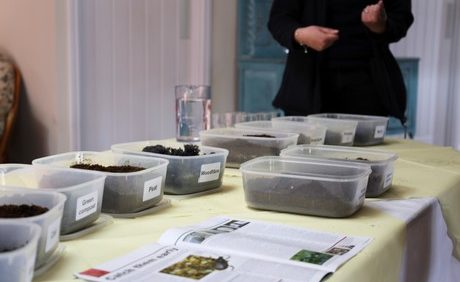 British Researchers Evaluating New Media Blends to Reduce Coir Reliance