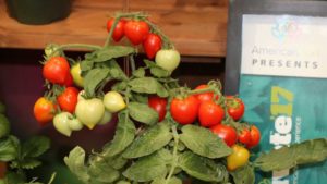 Deadline for Fred C. Gloeckner Foundation Grant Proposals is April 1