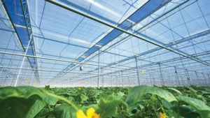 New Greenhouse Systems Short Course Coming This Spring