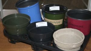 How One Greenhouse Container Company Is Addressing Supply Chain Issues