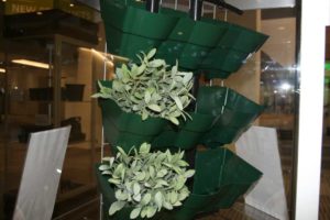 Vertical Planter for Green Walls (Tyne Molds and Machinery)