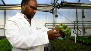 Oasis Grower Solutions Hosting Plant Production Webinar
