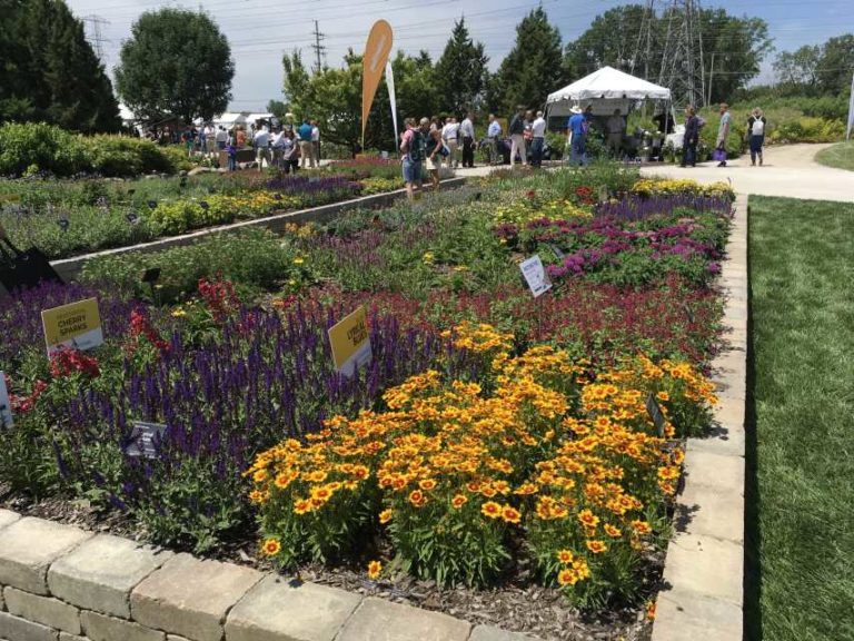 Darwin Perennials Day