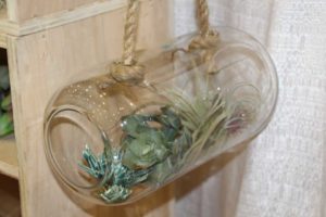 2. Terrariums