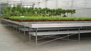 Greenhouse Bench Systems Designed to Handle Any Space