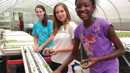 Why the Horticulture Industry Has an Age Problem