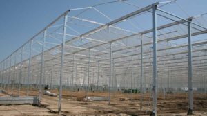 NatureFresh Farms Delays Expansion Due to Labor Shortage, While Pure Flavor Plans 75-Acre Build in Georgia