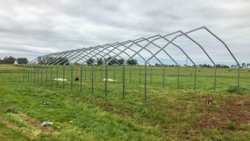 Cannabis Demand Leading to Land Rush for Growers in Many Areas