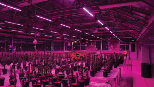 Four Must-See Lighting Sessions for the Production Technology Conference