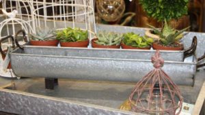 7 Popular Retail Trends from the 2017 IGC Show