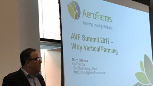 Vertical Farming Looks to Go Mainstream