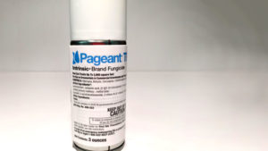 New Fungicide Provides Production and Postharvest Disease Control in Ornamental Crops