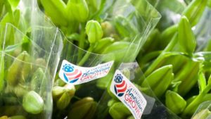 Certified American Grown Flowers Names New Third-Party Certifier