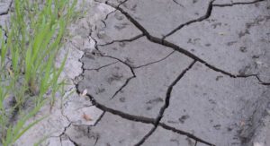 Trend #1: Climate Controlled