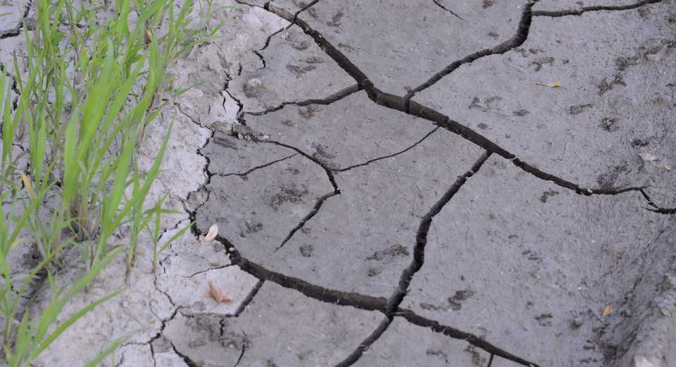 Trend #1: Climate Controlled