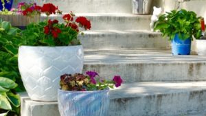 14 Consumer Gardening Trends That Have Stood the Test of Time