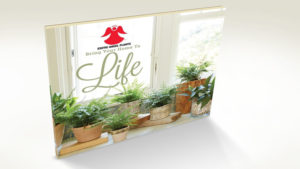 Costa Farms’ New Lookbook Offers Consumers Ideas on Best Plants for the Home