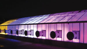 Supplemental Greenhouse Lighting to Produce Seedlings: LED or HPS?