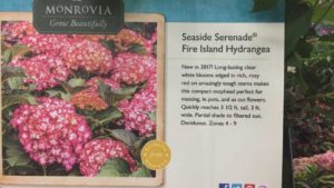 Grower-Retailers Pick Their Favorites From Farwest 2017