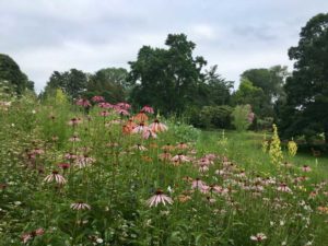 Trend #3: Imperfect Gardening