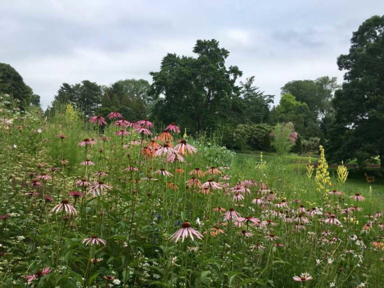 Trend #3: Imperfect Gardening