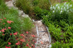 Trend #5: Make a Splash