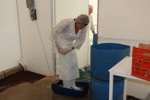 Vivero Internacional