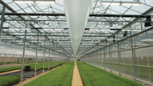 Shenandoah Growers Rebrands With a Focus on Organic Production