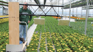 New Next-Gen Ag Workers Curriculum on the Grow in California